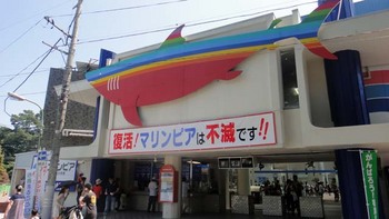 松島水族館.jpg